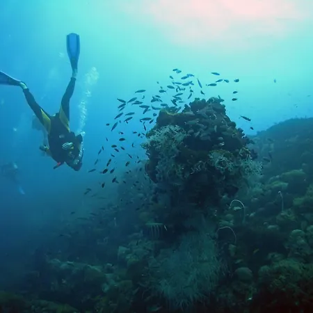 Valamar Meteor Szálloda 4*