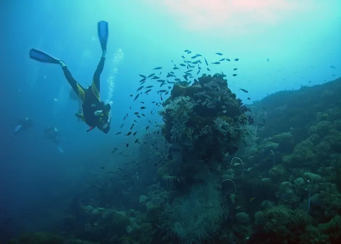 Valamar Meteor Ξενοδοχείο 4*